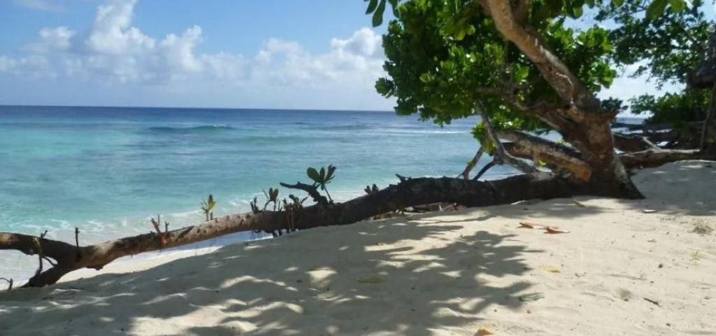 Prestigieuse île privée en vente à Bora-Bora, Polynésie Française